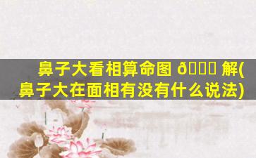 鼻子大看相算命图 🐝 解(鼻子大在面相有没有什么说法)